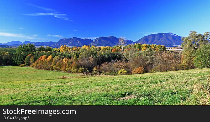 Autumn forest in region Liptov, Slovakia