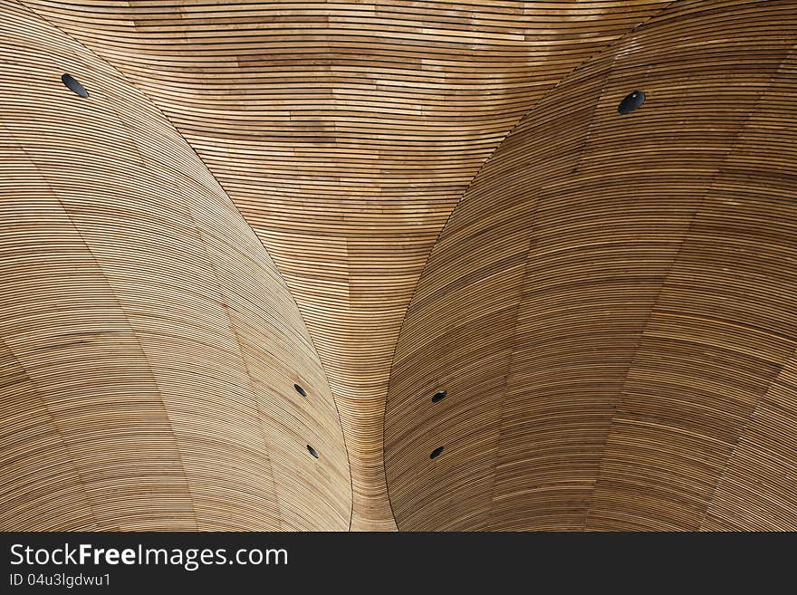 Roof of National Assembly building, Cardiff,UK. Roof of National Assembly building, Cardiff,UK