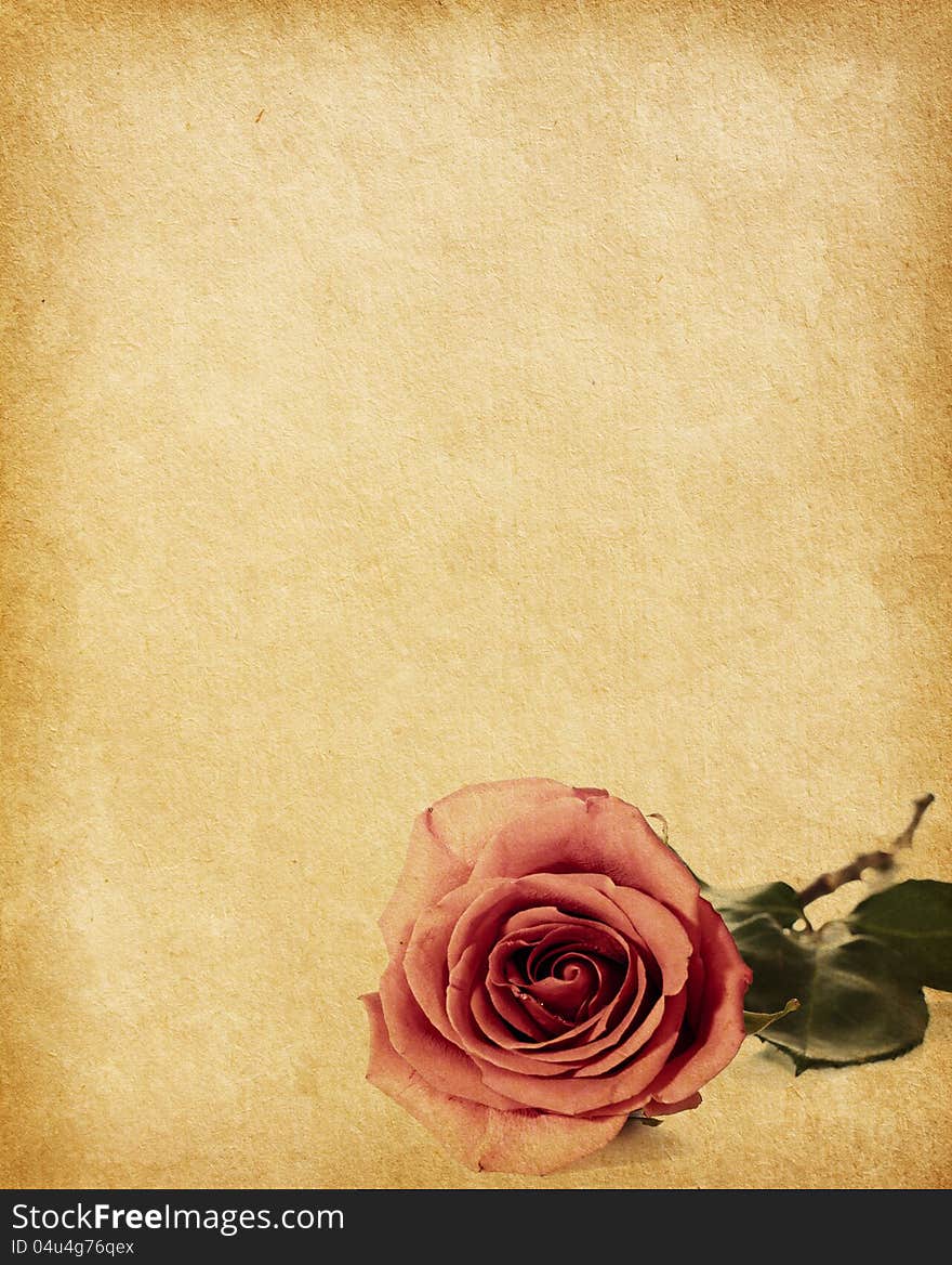 Old paper texture with  rose