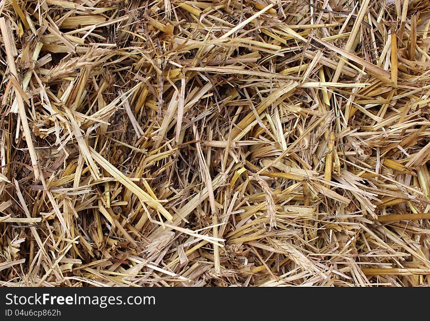 Background Of Brown Hay