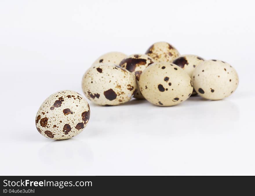 Quail eggs  on white  background