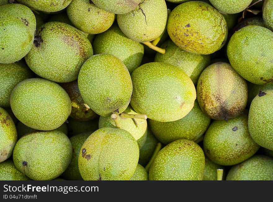 The background is a lot of green walnuts. The background is a lot of green walnuts