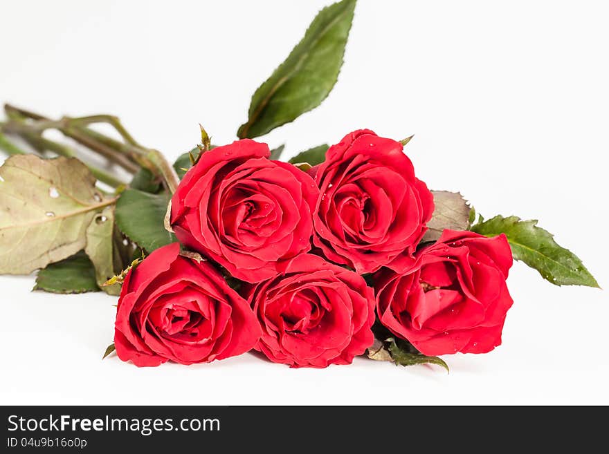 Roses bouquet isolated on white background. Roses bouquet isolated on white background