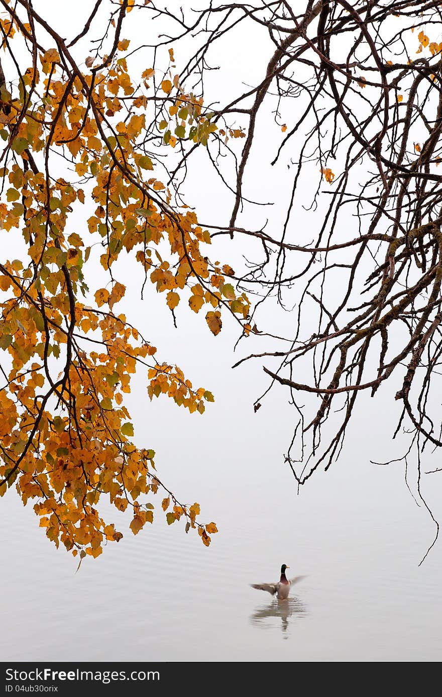 Autumn day at Lake Balaton,Hungary