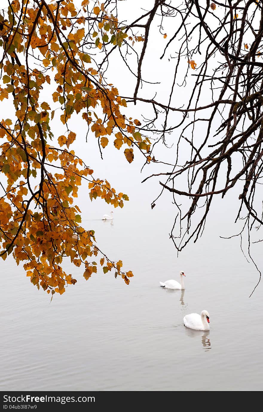 Autumn day at Lake Balaton,Hungary