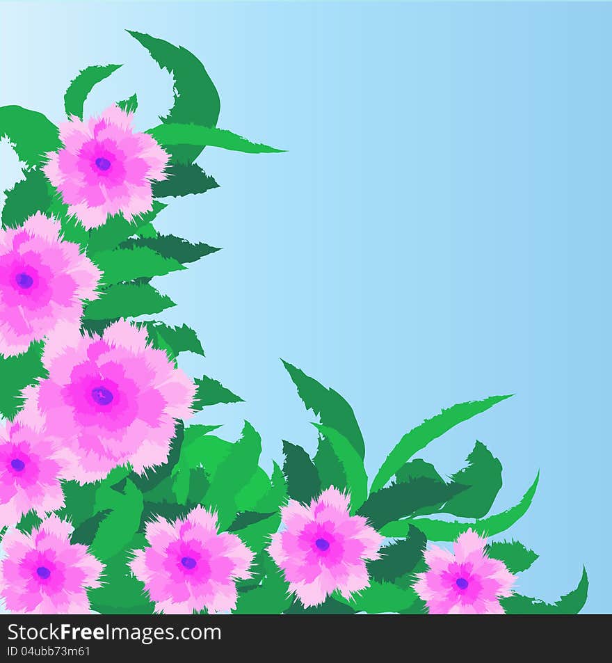 Flowers on a blue background. Flowers on a blue background