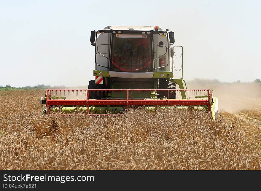 Combine harvester in field wheat