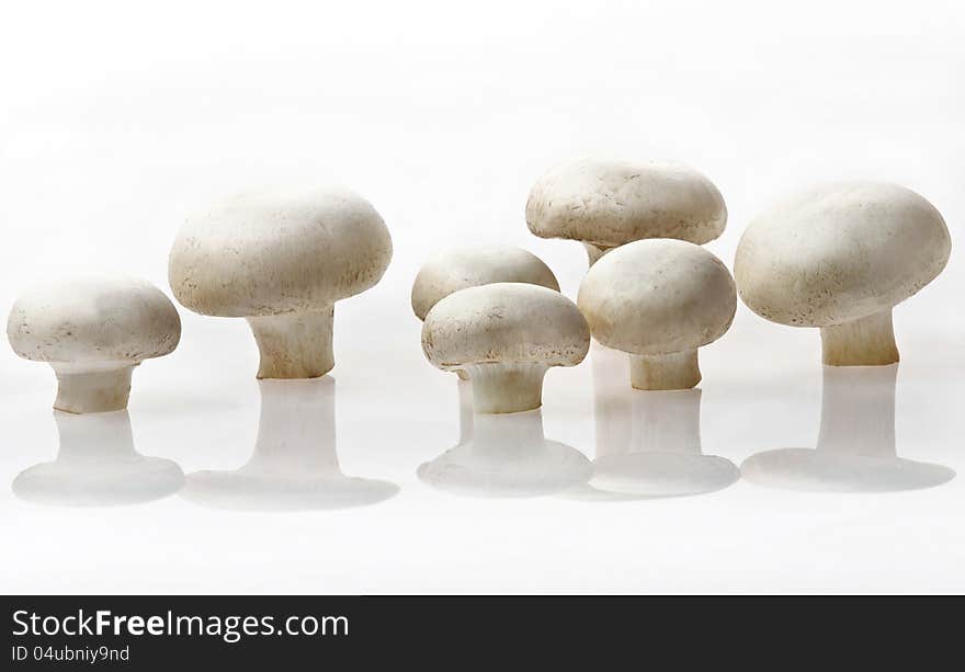 Champignon