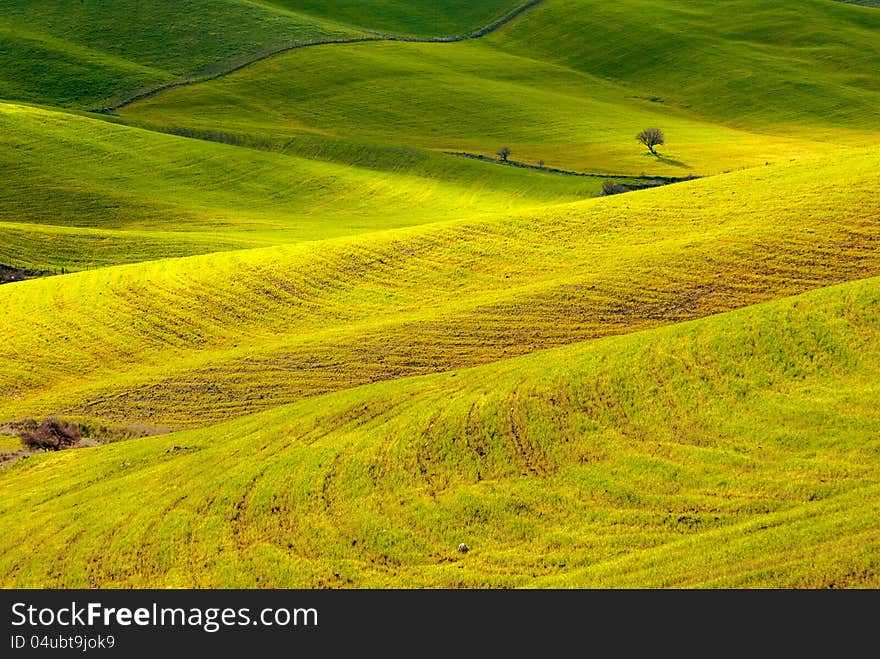 Panoramic view of countryside fields in Sicily at springtime.