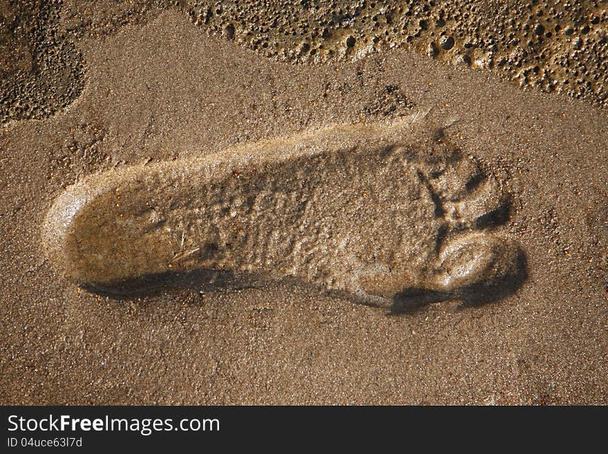 Footsteps in the sand on the beach