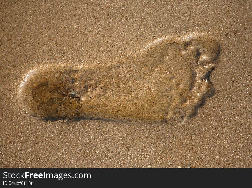 Footsteps in the sand on the beach