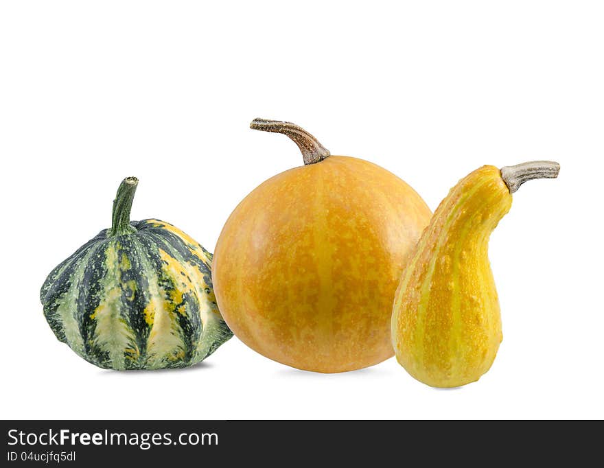 Various types of pumpkins on white background. Various types of pumpkins on white background