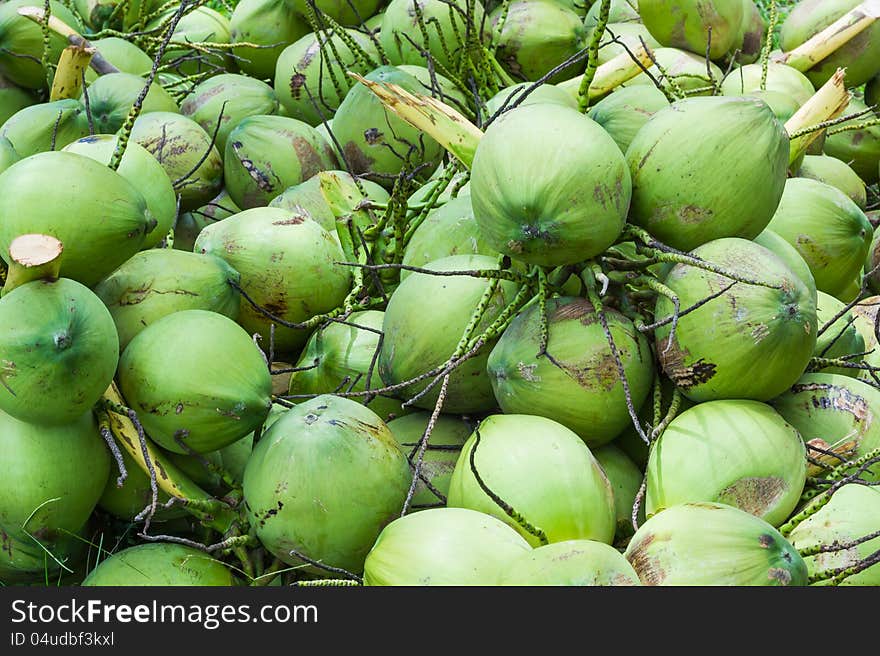 Coconuts fruit