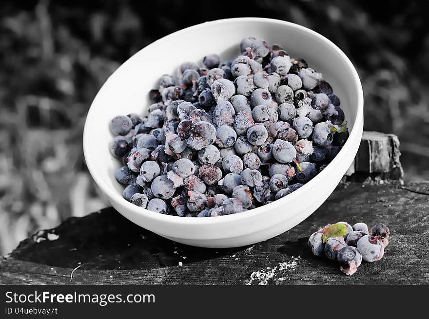 Frozen bilberries in a ceramic bowl on a tree stump on a black and white background. Frozen bilberries in a ceramic bowl on a tree stump on a black and white background