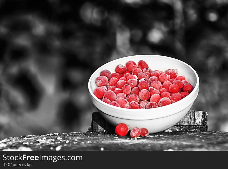 A bowl of large frozen cranberries on a tree stump against a black and white background. A bowl of large frozen cranberries on a tree stump against a black and white background