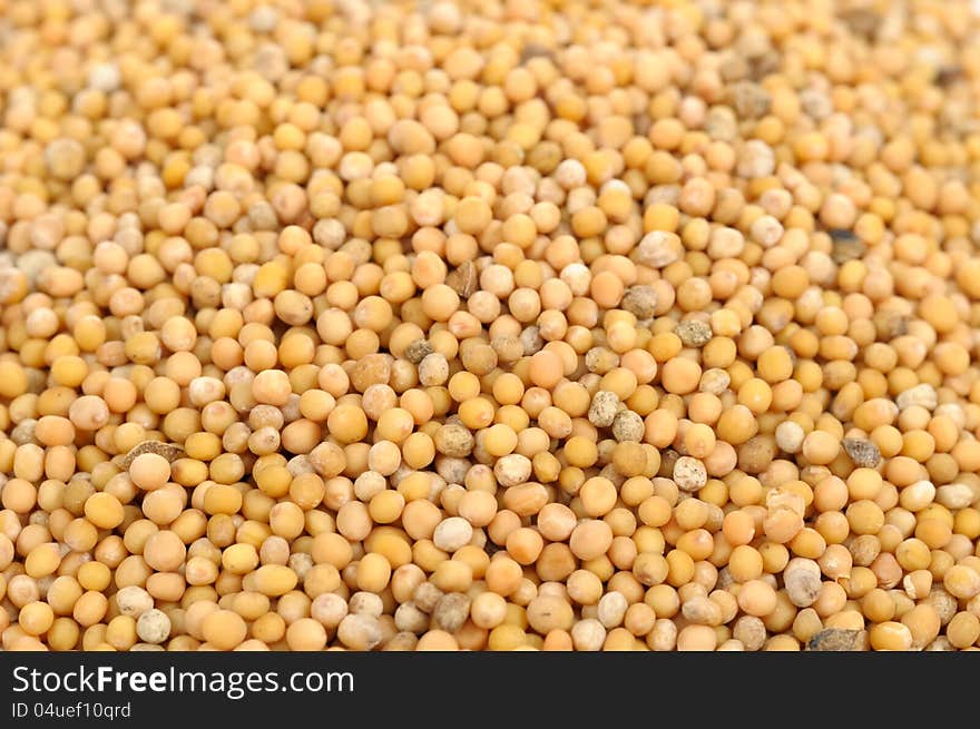 A close-up of white mustard seeds as a background. A close-up of white mustard seeds as a background