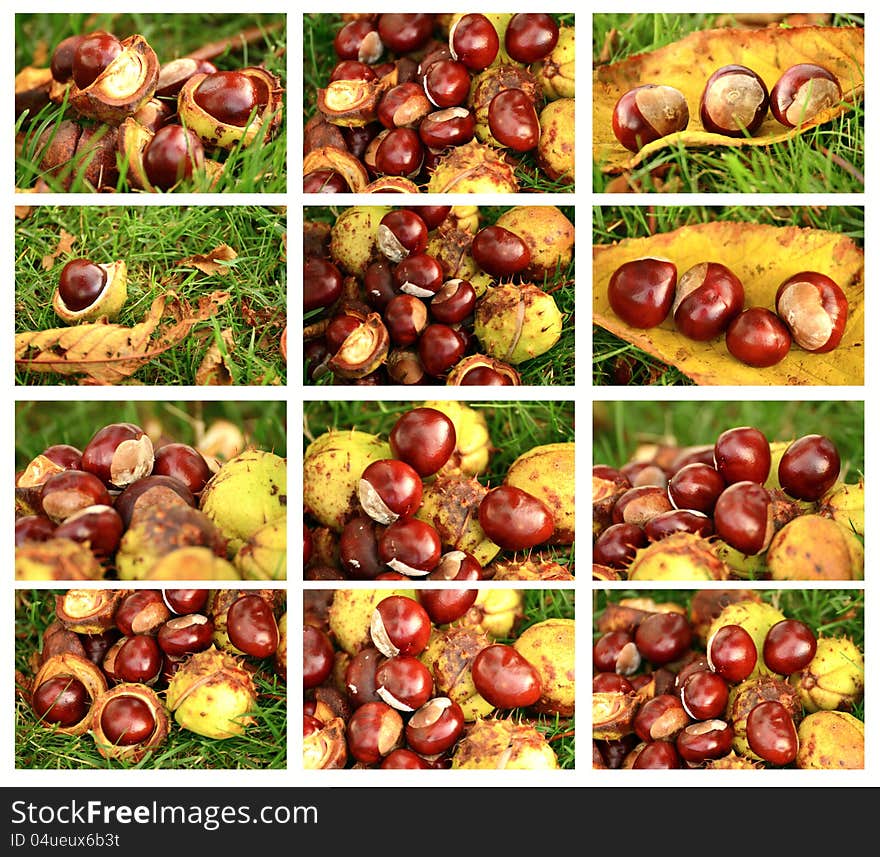 A Chestnuts set outdoor collection