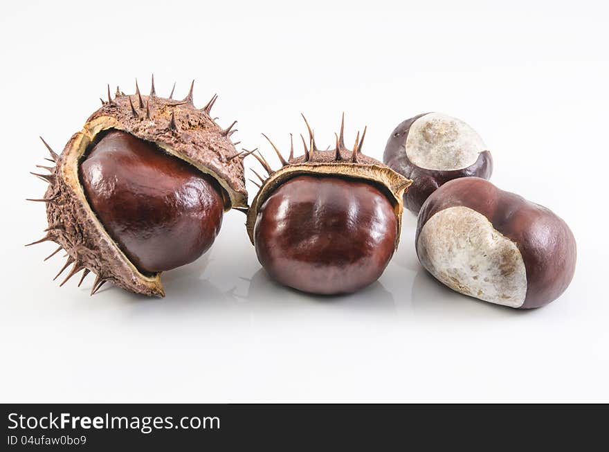 Nice shot of some chestnuts  on white background