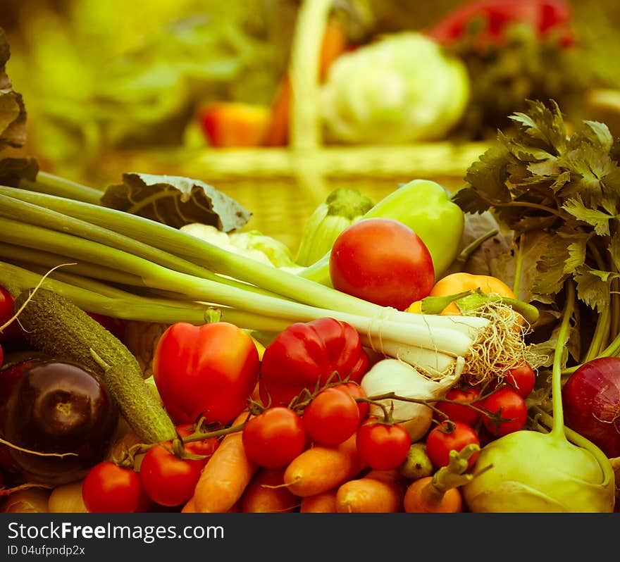 Fresh Vegetables