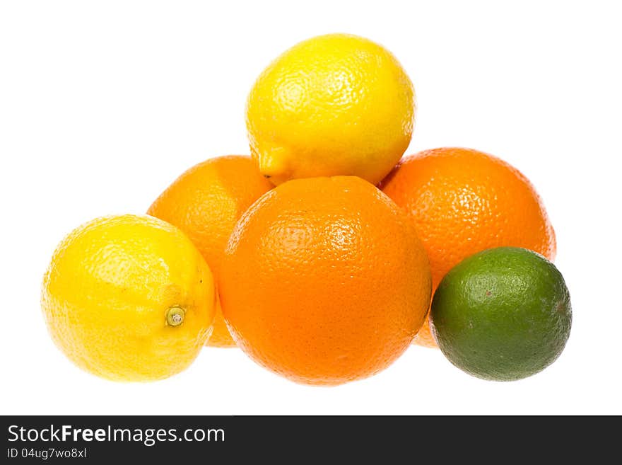 Citrus fruits isolated on white background