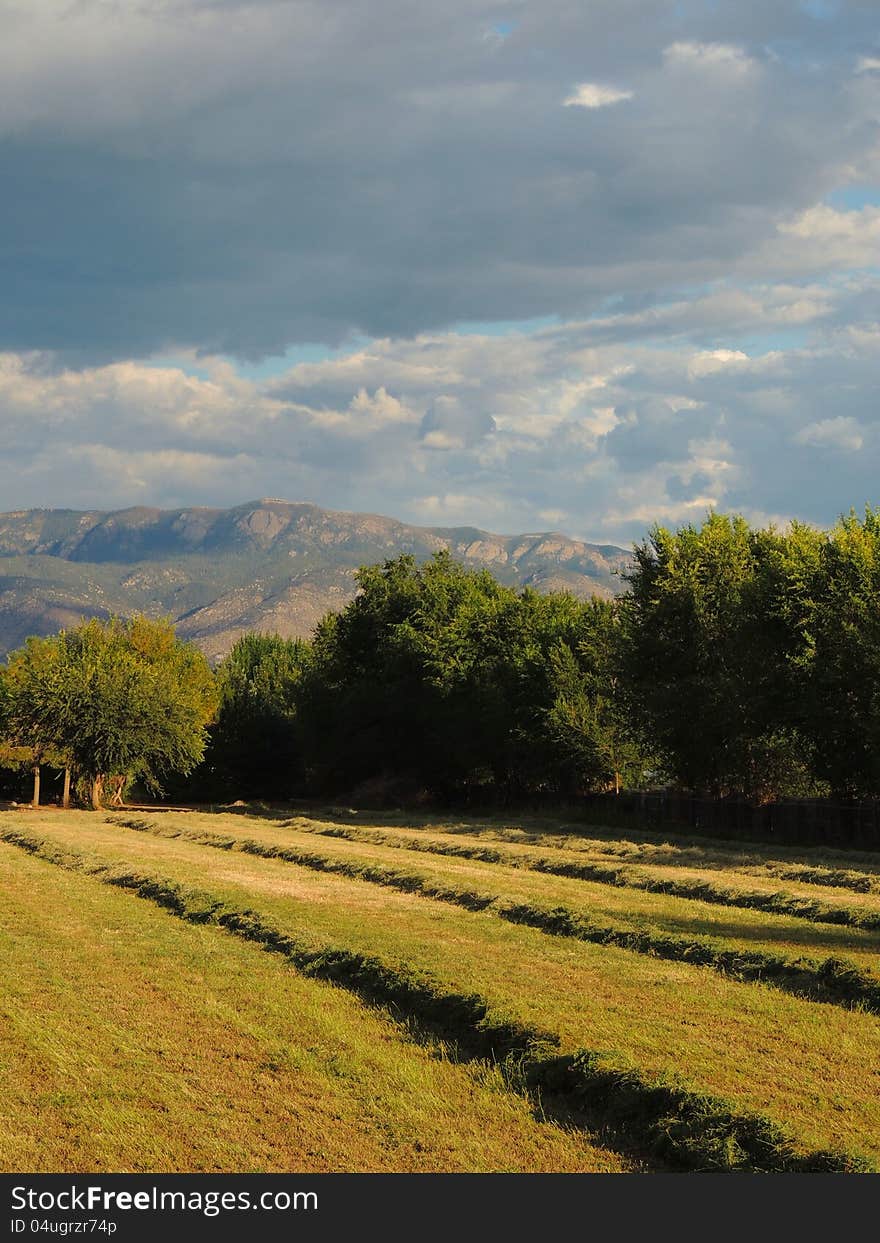 Freshly Cut Hay Harvested In Fall, Mountains, Sky