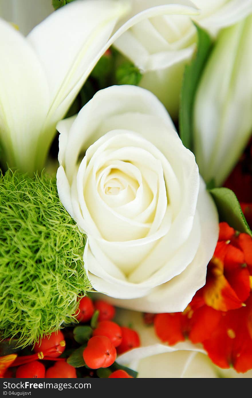 Close up of wedding bouquet, rose