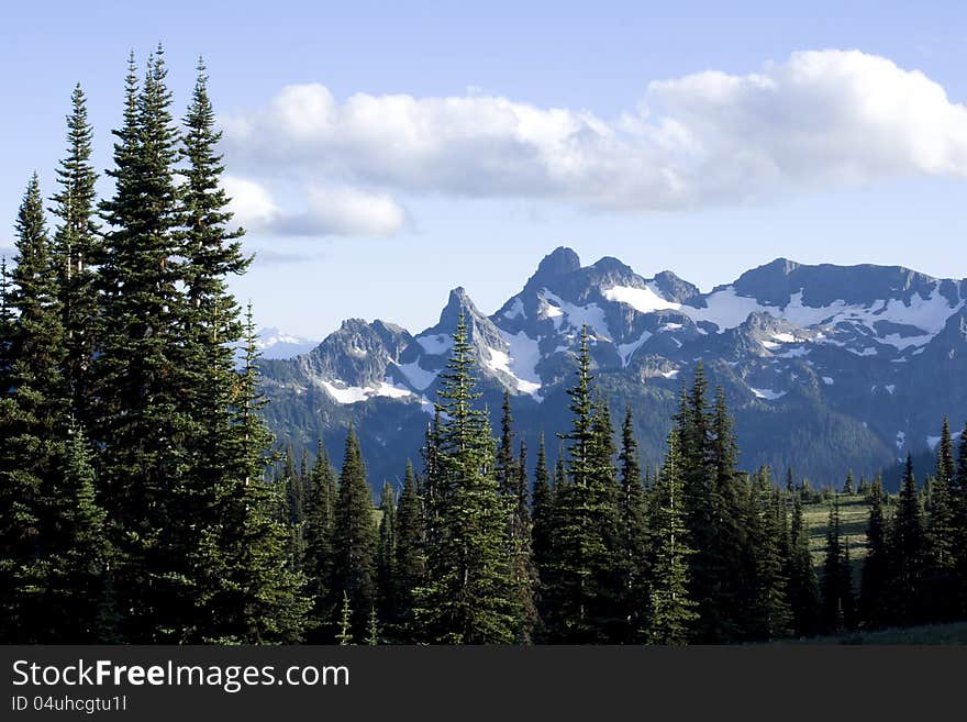 Snow mountain tops and dense forest at Mt. Rainier National park, Washington State, USA. Snow mountain tops and dense forest at Mt. Rainier National park, Washington State, USA