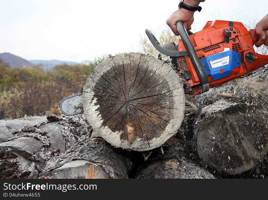 The sharp saw quickly cuts wood