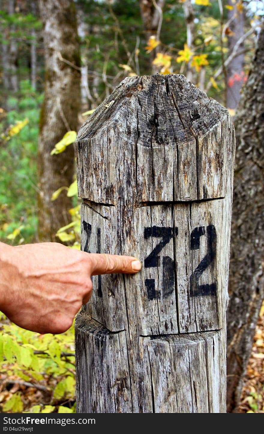 Border of a site of the taiga, marked by the huntsman