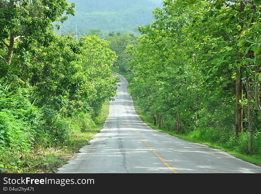 Rural road in Mae Hong Son.