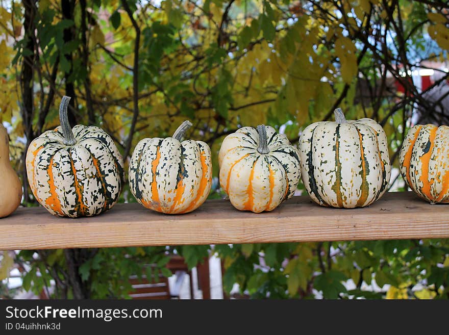 Lots of pumpkins  at a farmers market