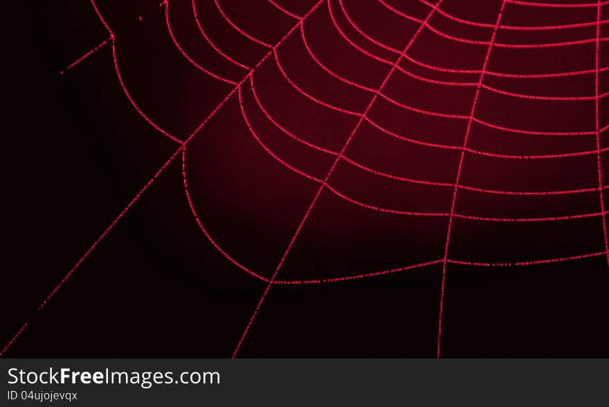 Symbol cobweb