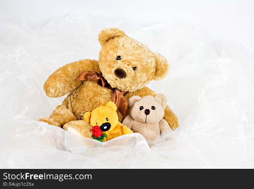 Three teddy-bears sitting together in white