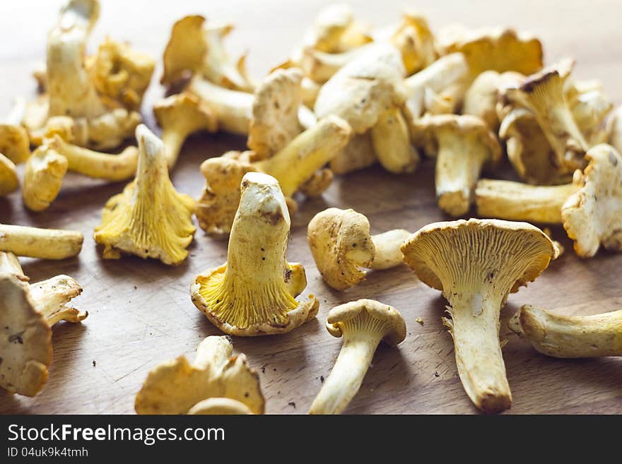 Chantarelles