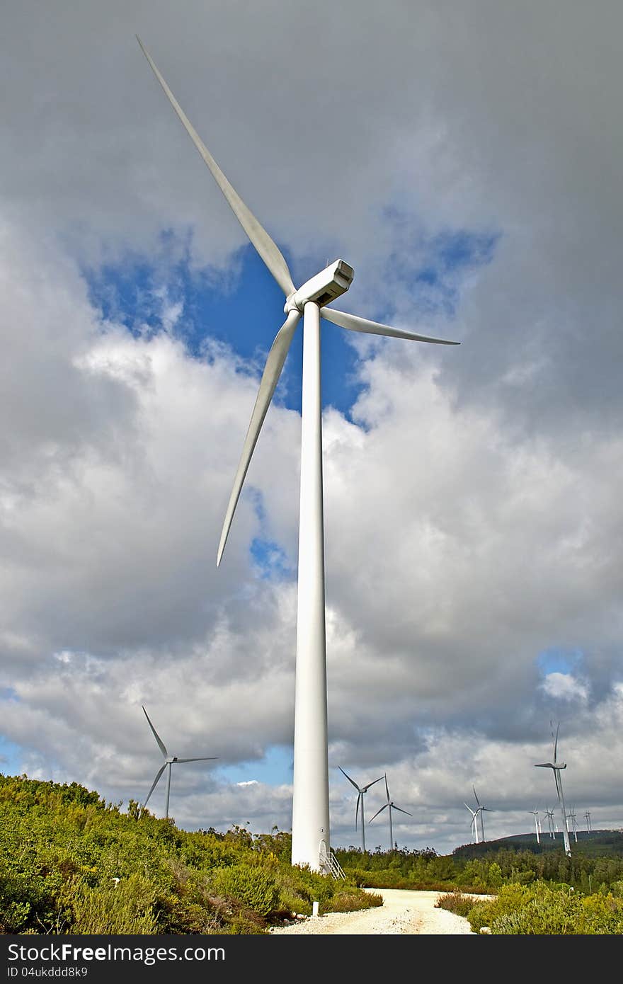 Wind energy generators in middle nature. Wind energy generators in middle nature