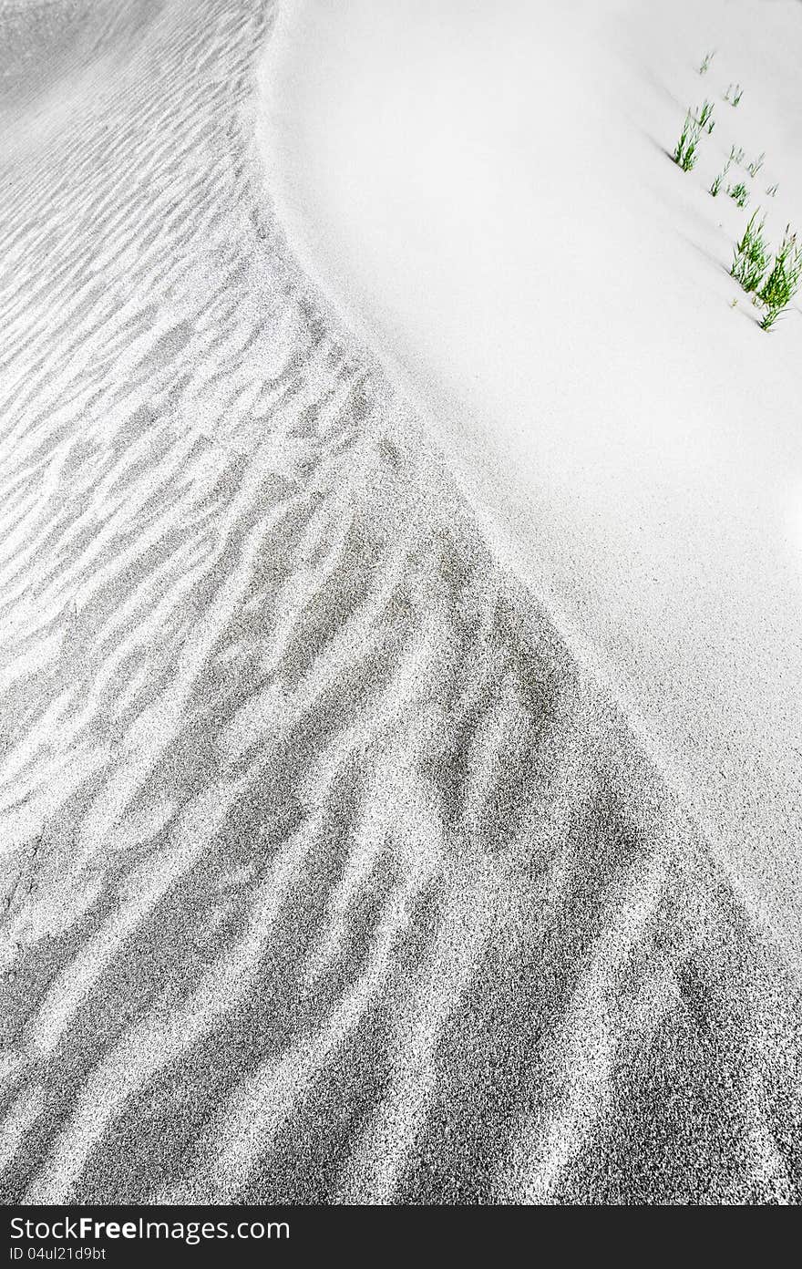 Abstract texture of sand dune in desert