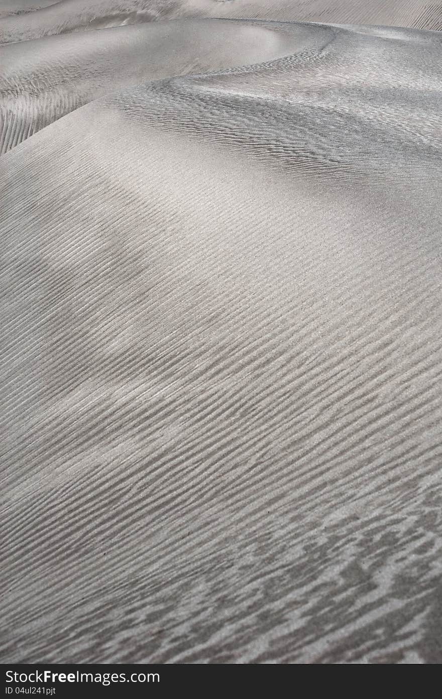 Abstract Texture Of Sand Dune