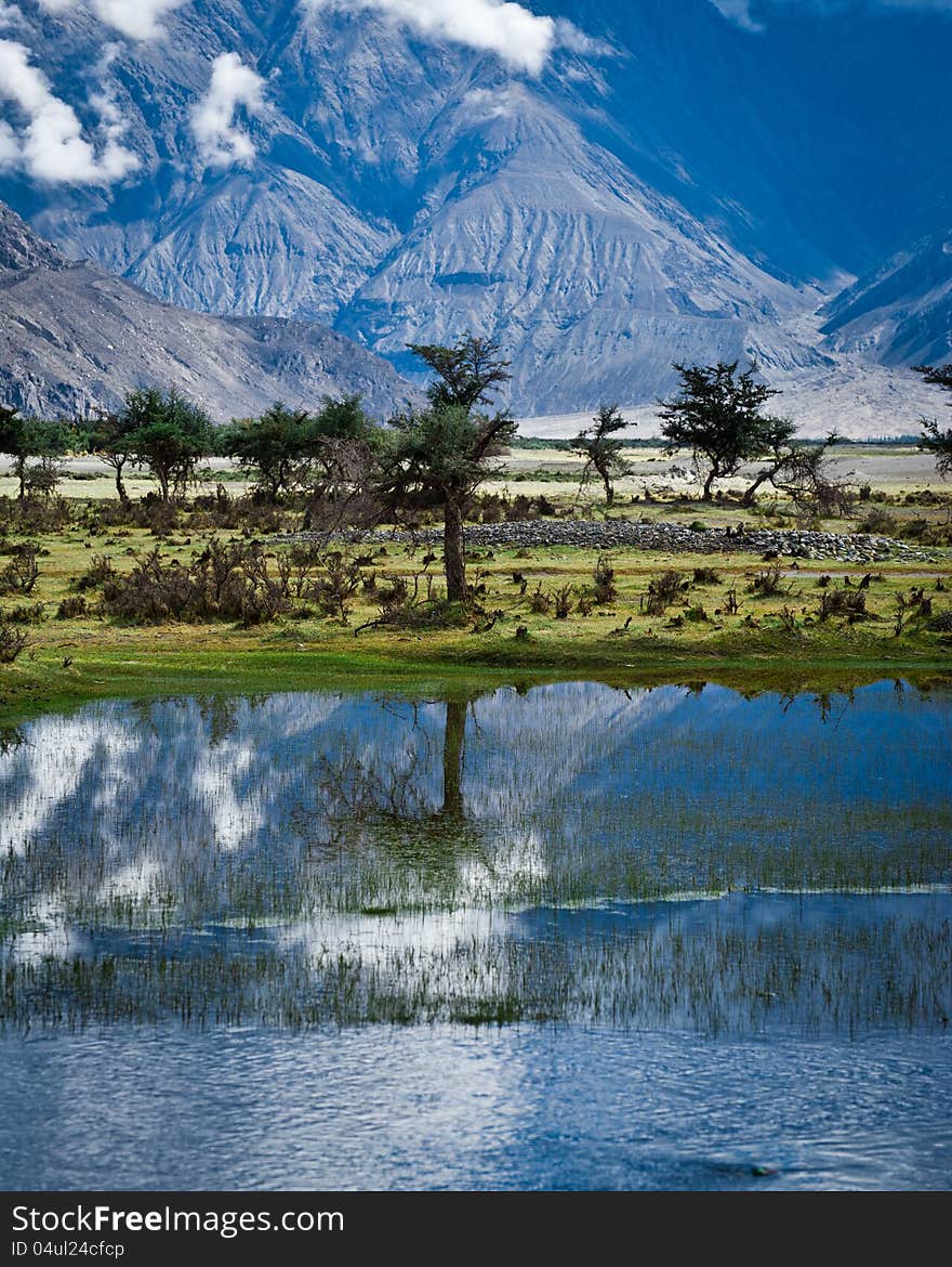 Sunny day view with trees at Nubra Valley. Himalaya mountains landscape. India, Ladakh, altitude 3100 m