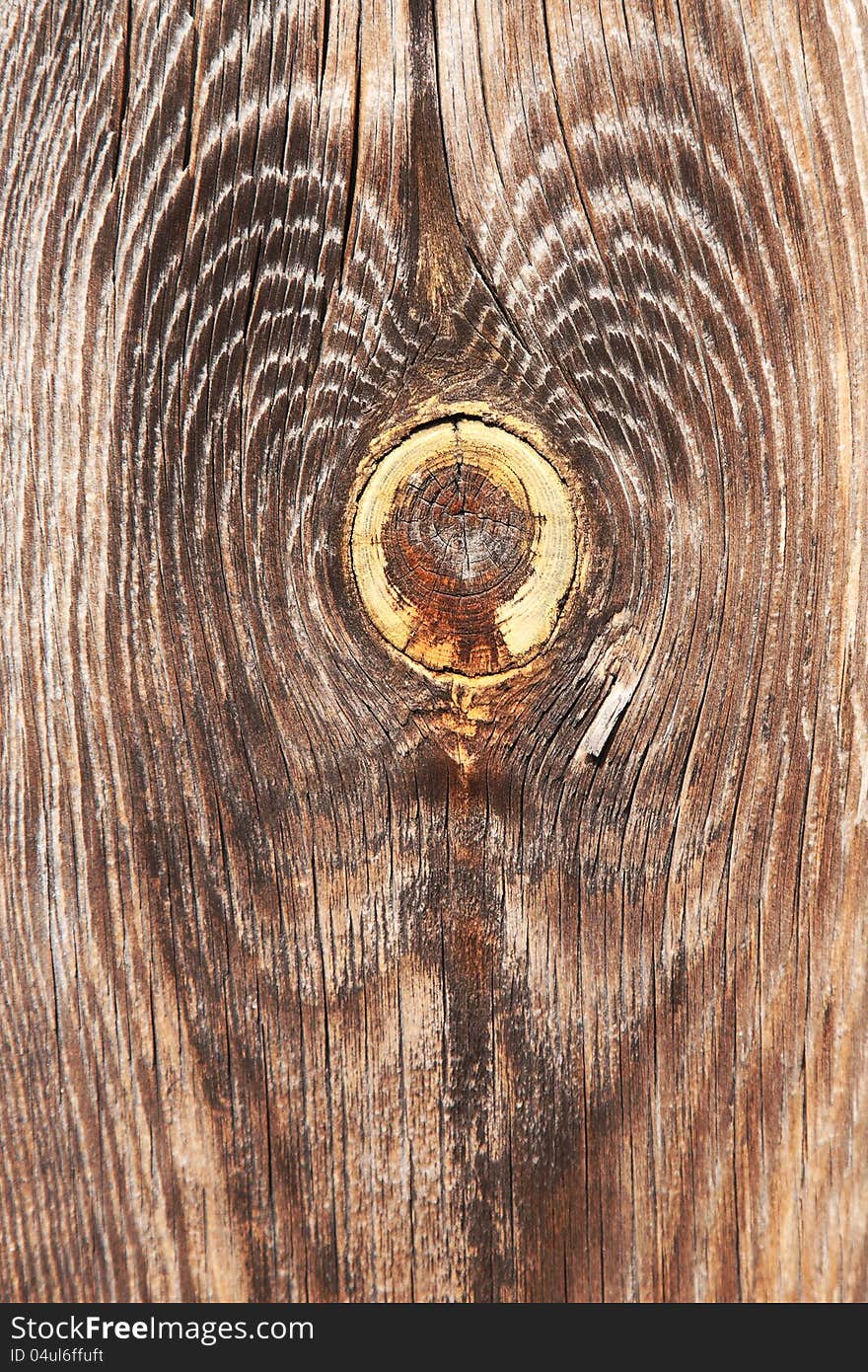 Wood texture with natural patterns, Macro view of wood knot