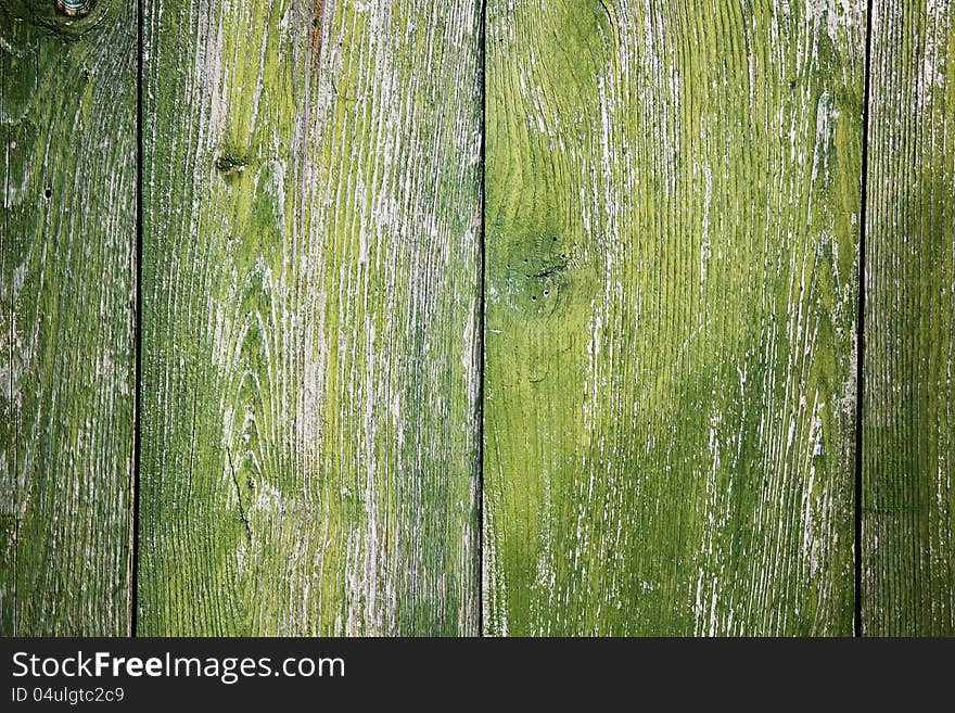 Green wood texture with natural patterns