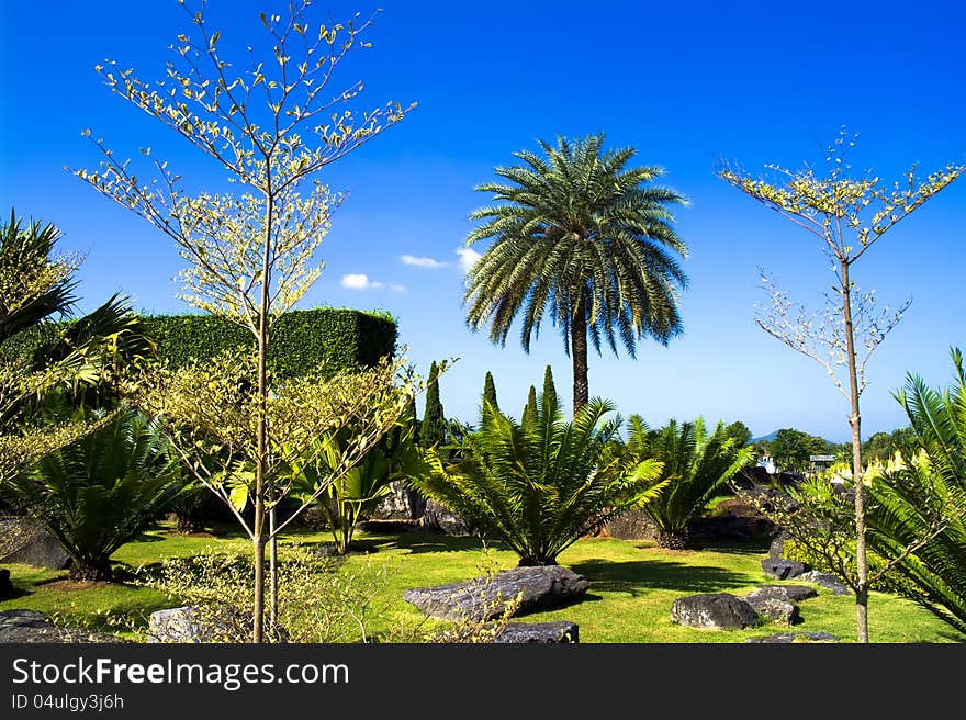 Autumn in Nong Nooch Garden. Pattaya, Thailand.