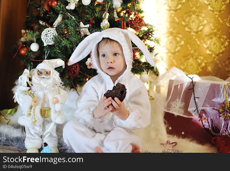 Node Christmas tree sits a boy dressed as a white rabbit with shokolodnym ezhem. Node Christmas tree sits a boy dressed as a white rabbit with shokolodnym ezhem