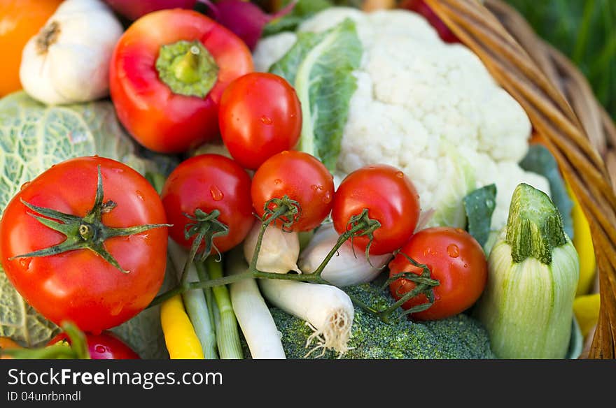 Fresh vegetables in the wicker basket