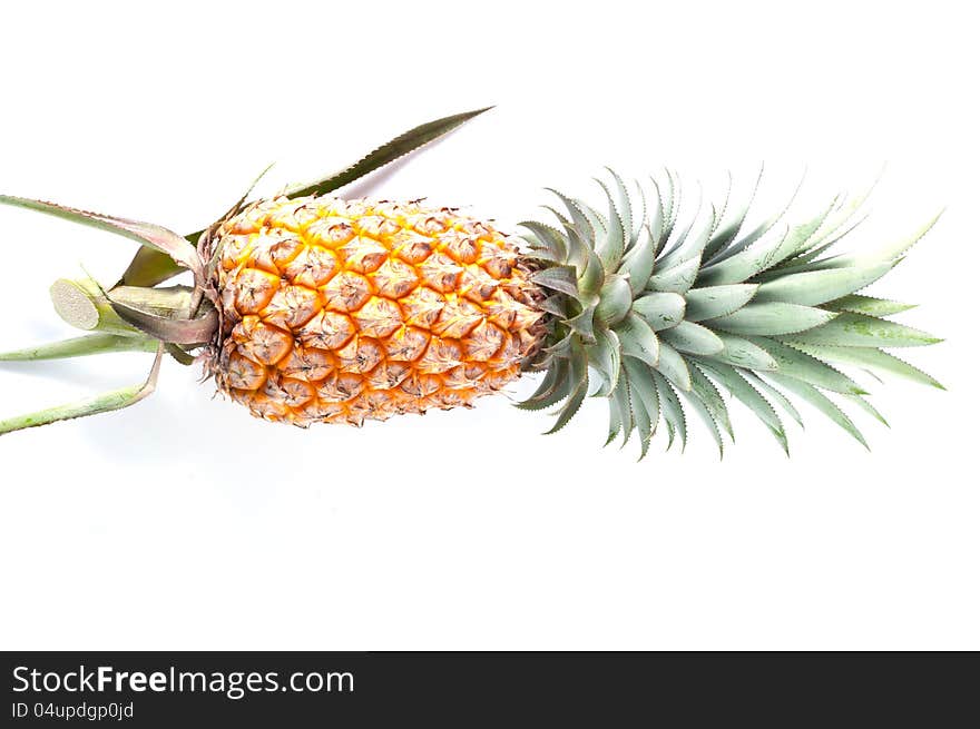 Fresh Pineapple