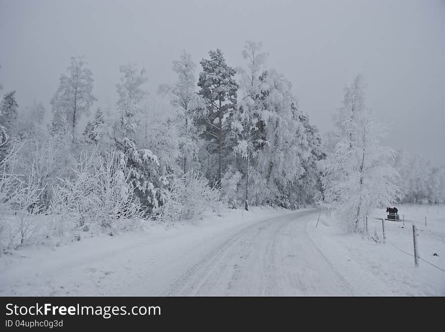 Winter road