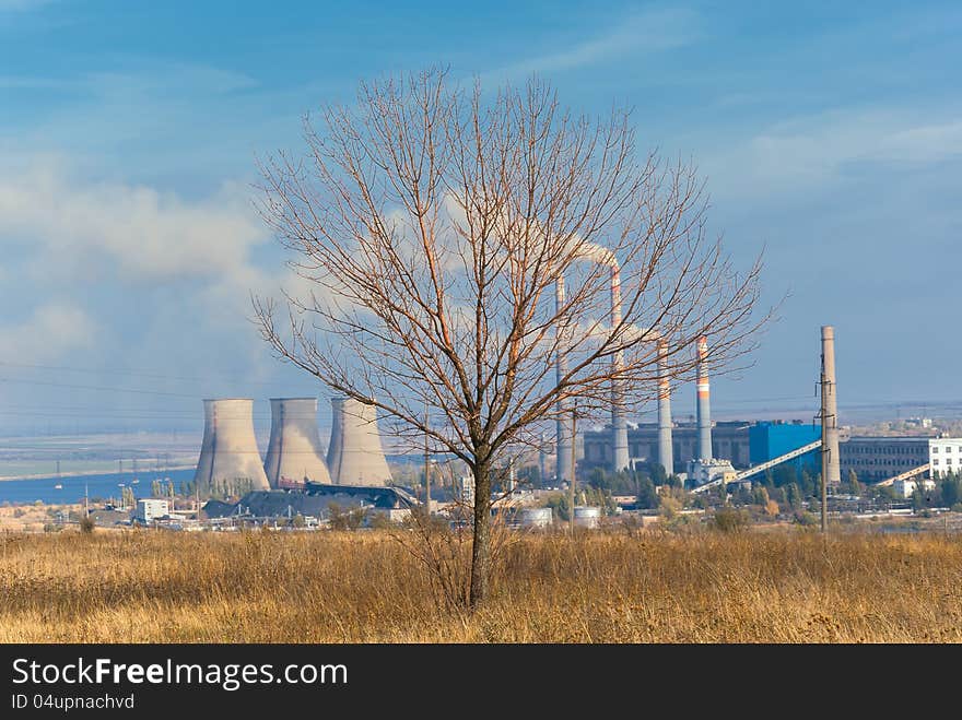 Dry Tree Against Power Plant