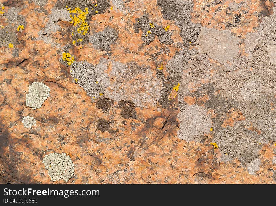 Red, yellow and grey lichens, pattern on a granite stone