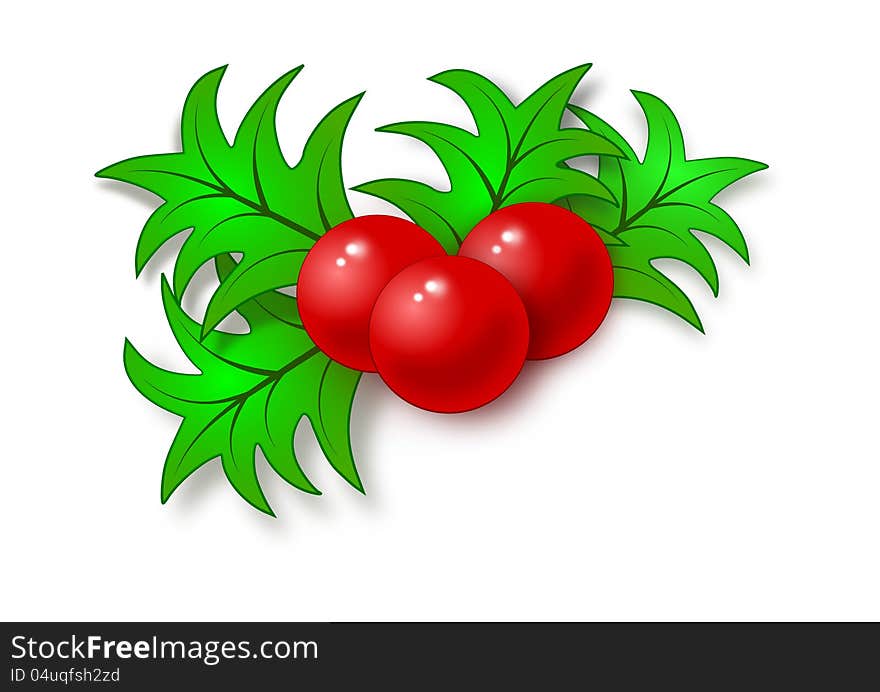 Mistletoe illustration