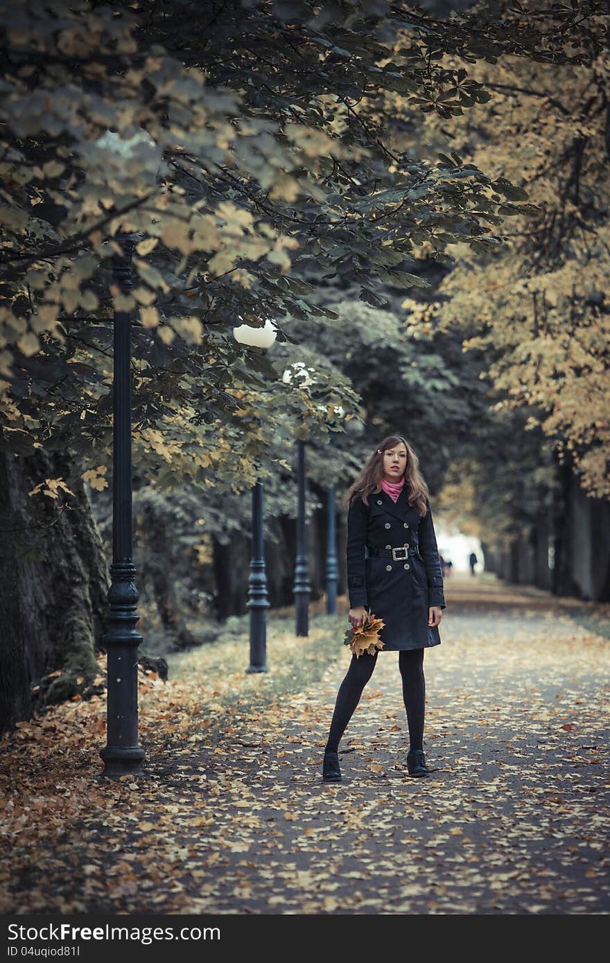 Girl posing on the road with lanterns in the park holding a bunch of leaves. Girl posing on the road with lanterns in the park holding a bunch of leaves