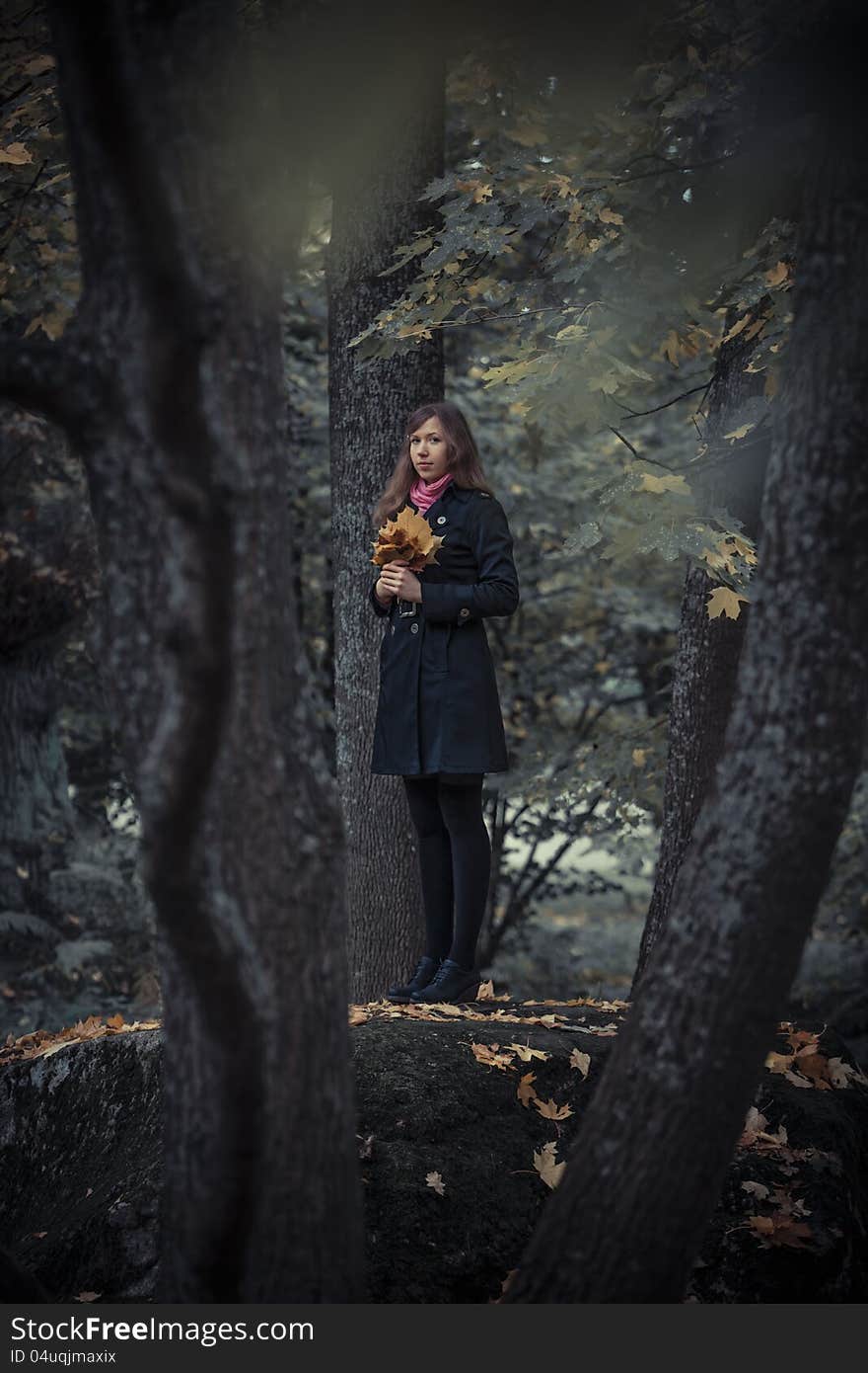 Girl stays on the rock with bunch of leaves in her hands. Girl stays on the rock with bunch of leaves in her hands